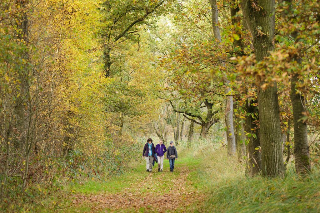 Wandelaars in een bos in de herfst.